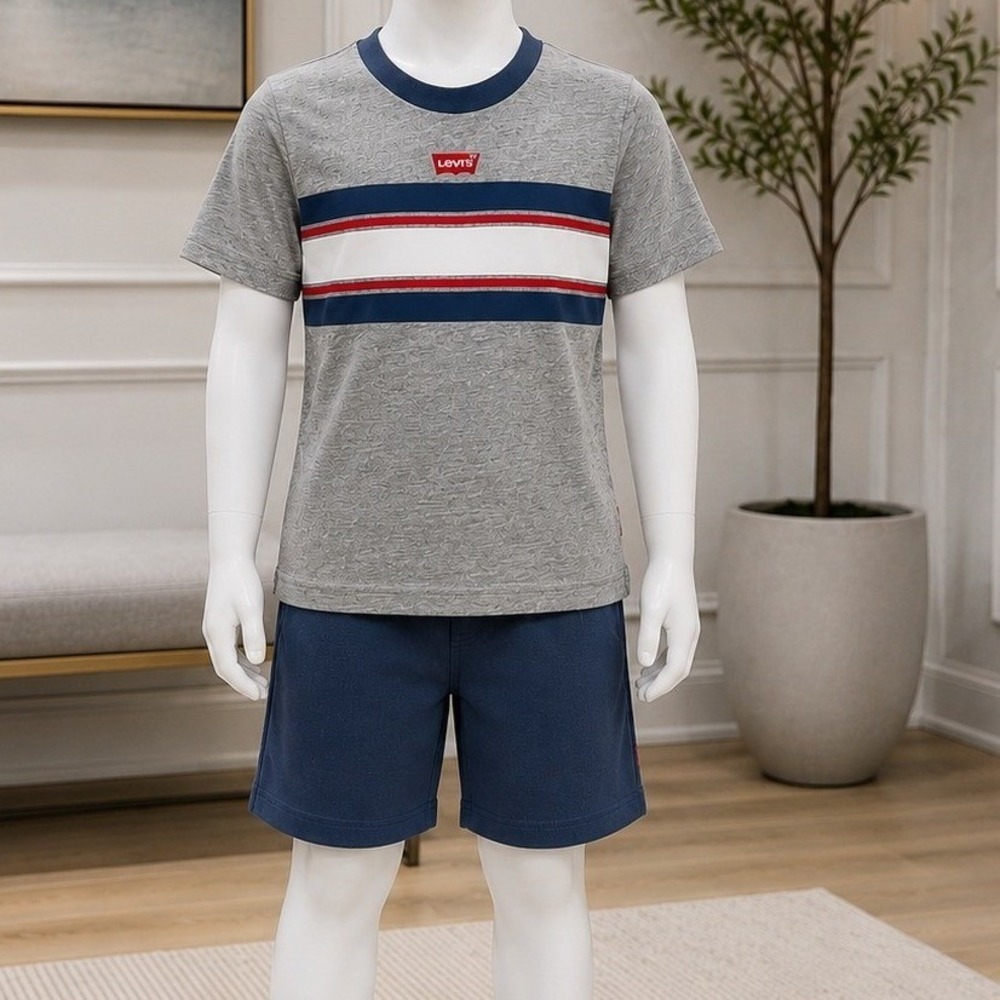 Levis Boys Two Piece Set Gray Striped T-Shirt and Blue Shorts 4T